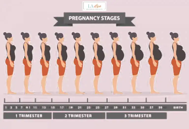 First Trimester (Weeks 1–12): Early Changes You Might Not Notice Stonebridge